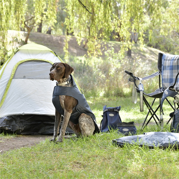 Weatherbeeta Explorer Hundegeschirr 101819800 - Navy